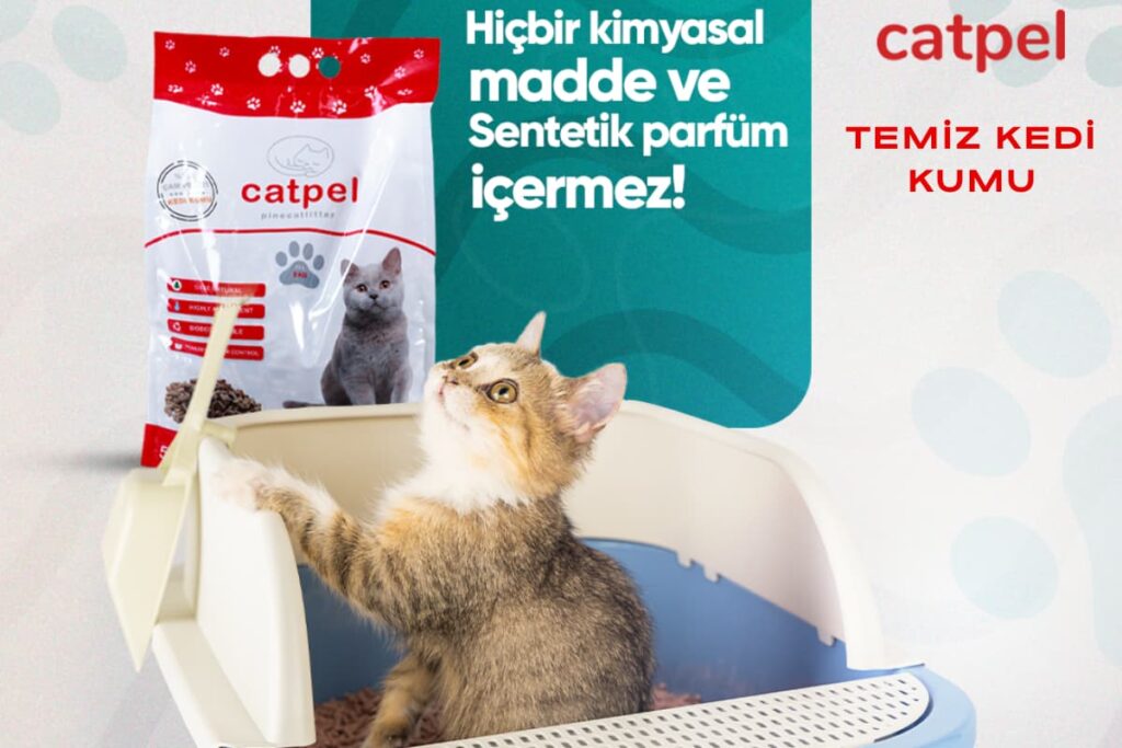 Temiz kedi kumu