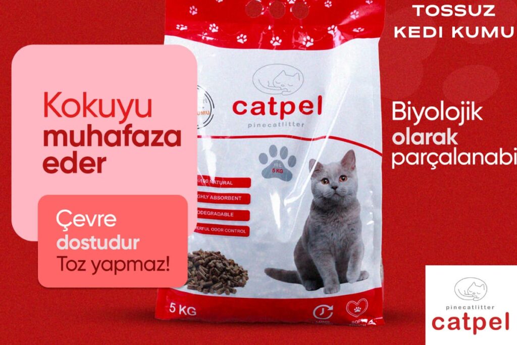 Tossuz kedi kumu