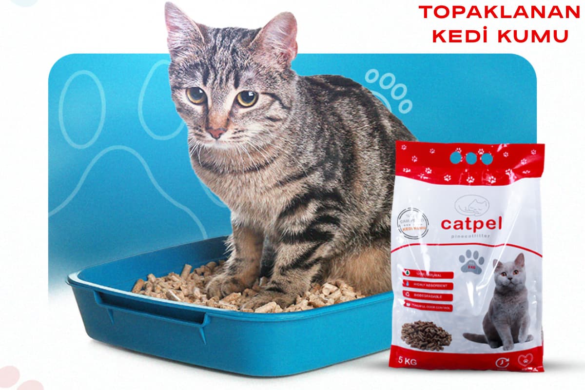 topaklanan kedi kumu